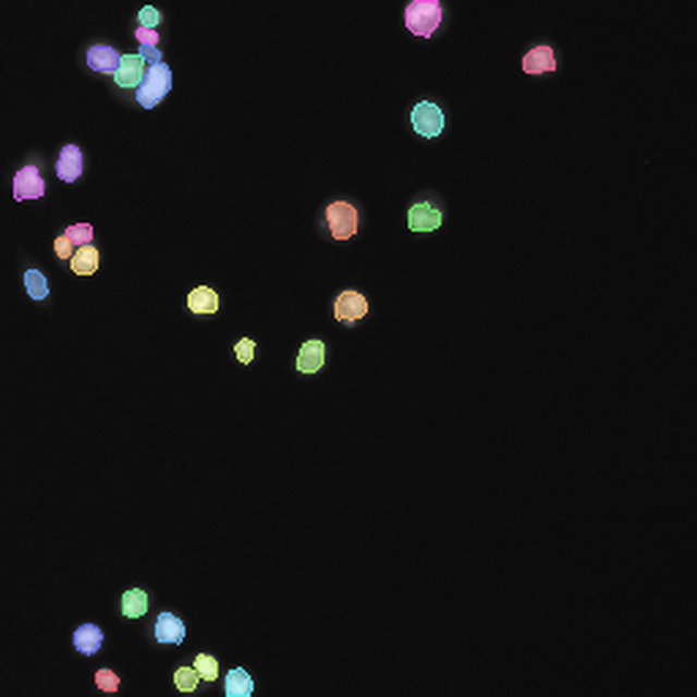 Ground-truth instance masks for the Fluorescent nuclei crop, one color per cell