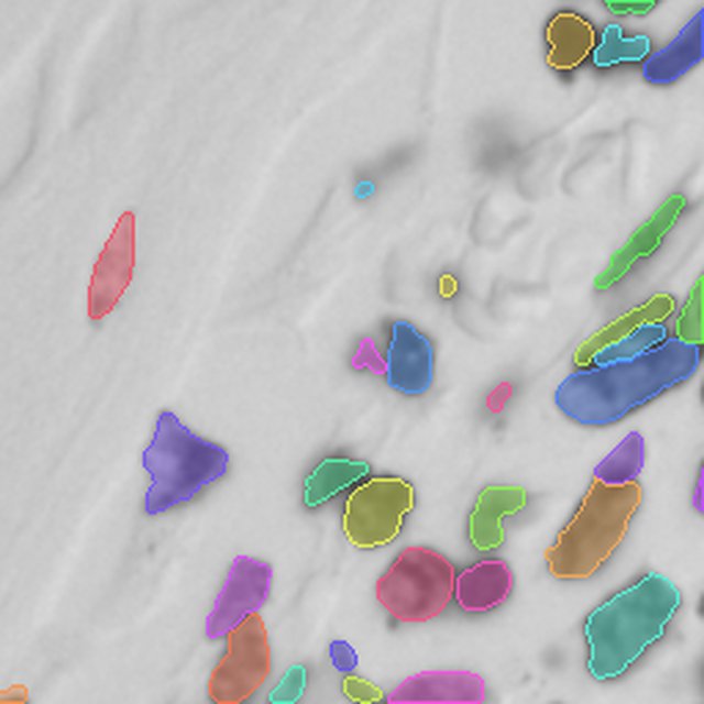 Ground-truth instance masks for the Histology nuclei crop, one color per cell