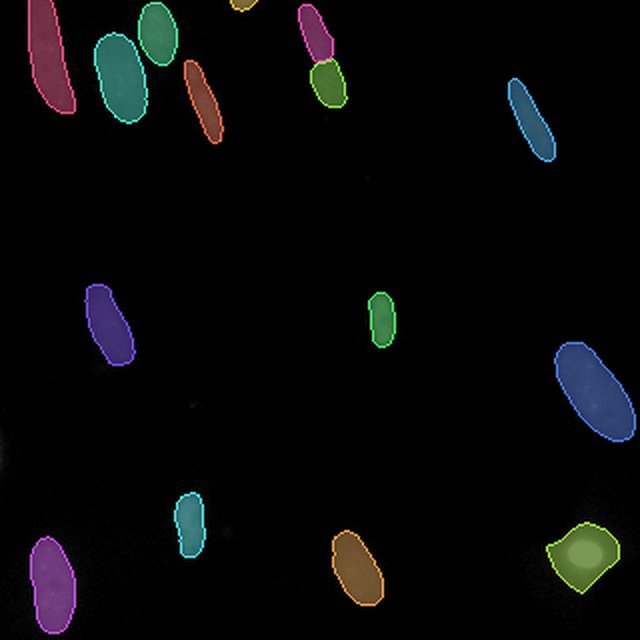 Best agent run (0.544) for a held-out Fluorescent nuclei crop
