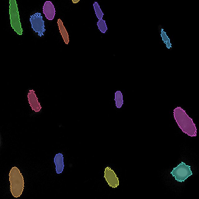 Classical floor (0.141) for a held-out Fluorescent nuclei crop