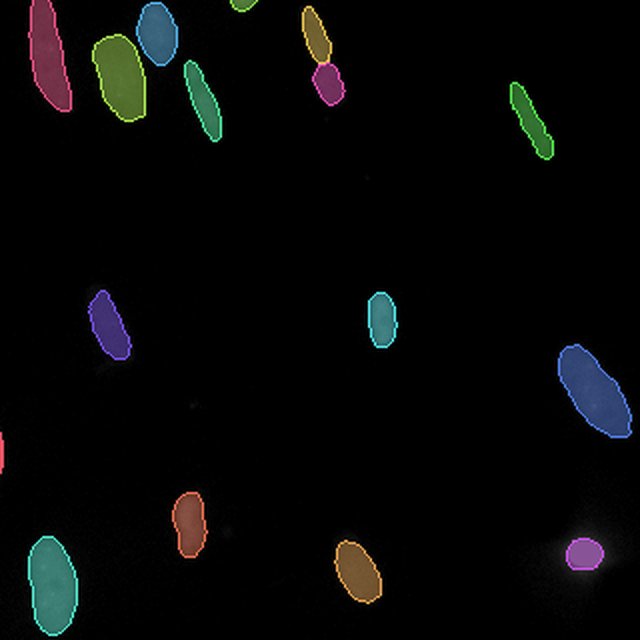 Ground truth for a held-out Fluorescent nuclei crop